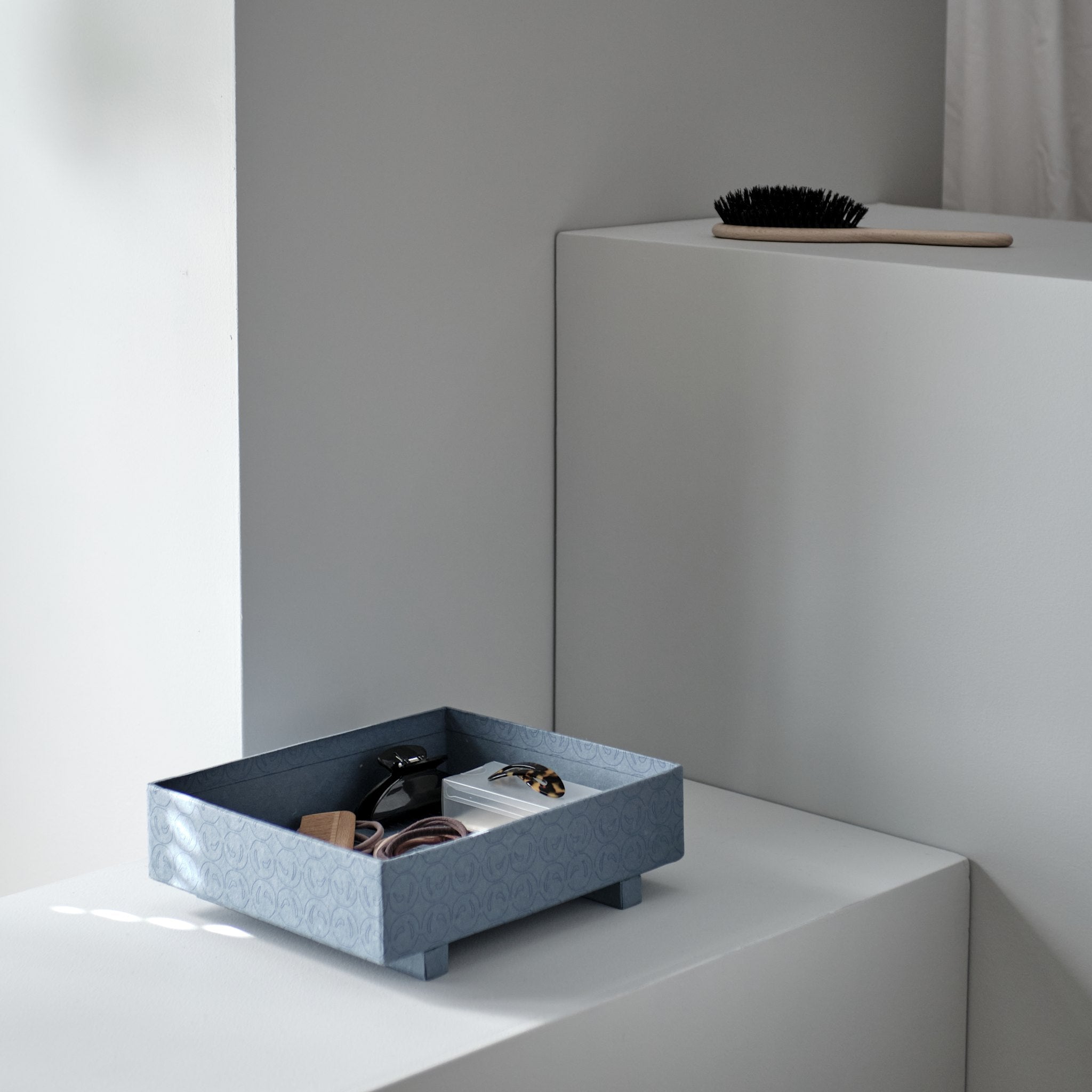 TRAY BOX MEDIUM TOTORU