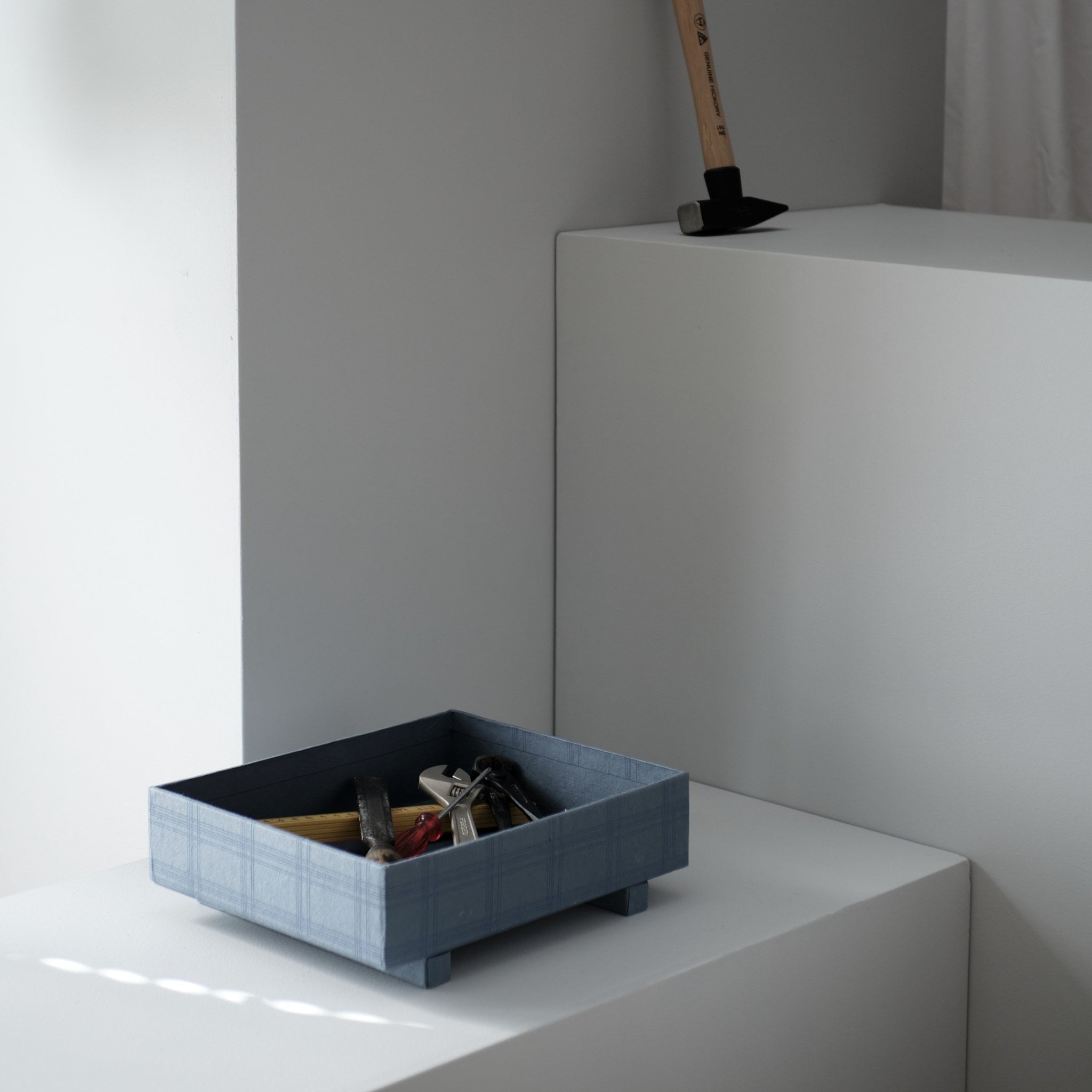 TRAY BOX MEDIUM GYO